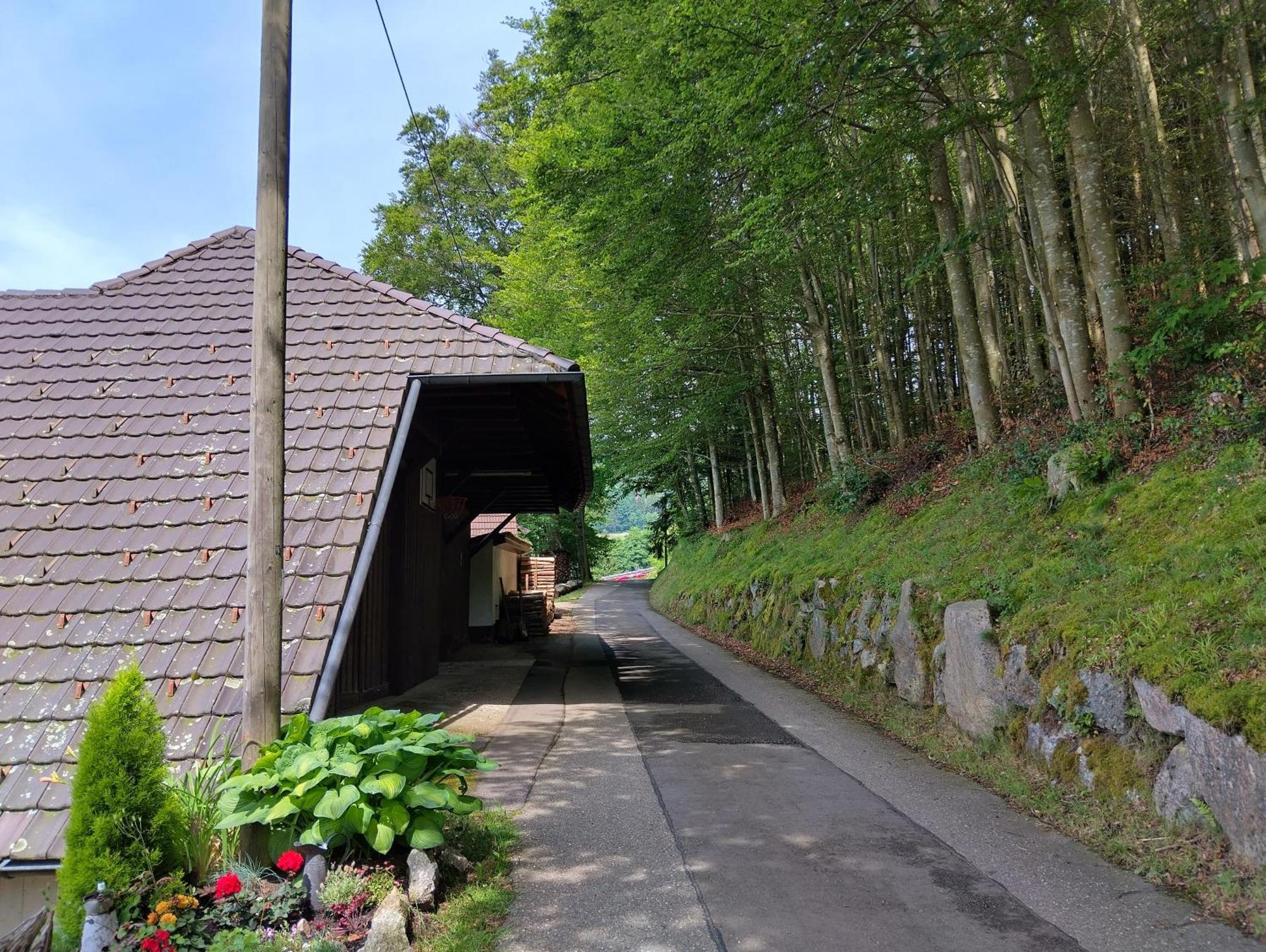 Haus "Guck - Ins - Tal" Apartment Sasbachwalden Luaran gambar