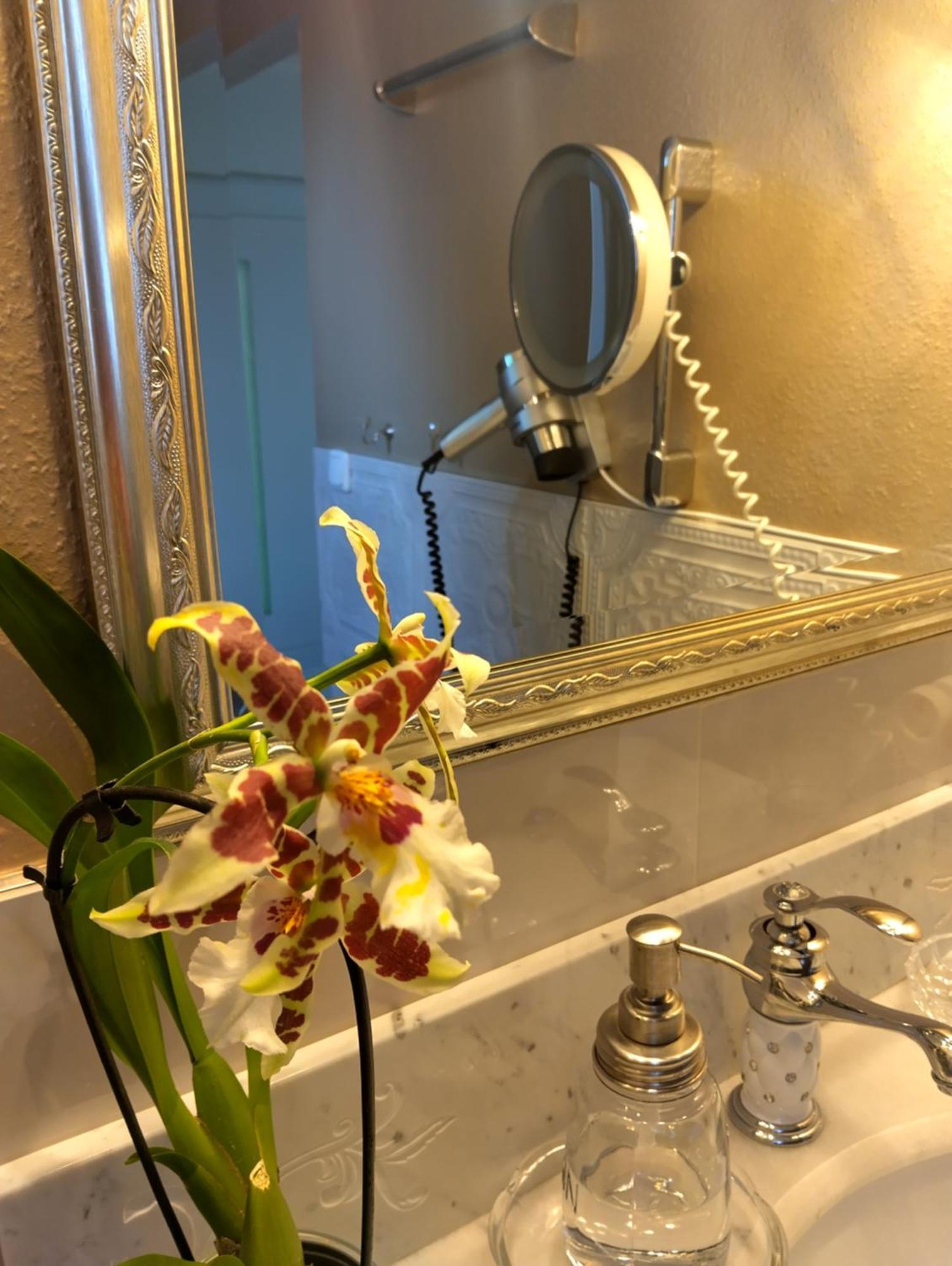 Haus "Guck - Ins - Tal" Apartment Sasbachwalden Luaran gambar