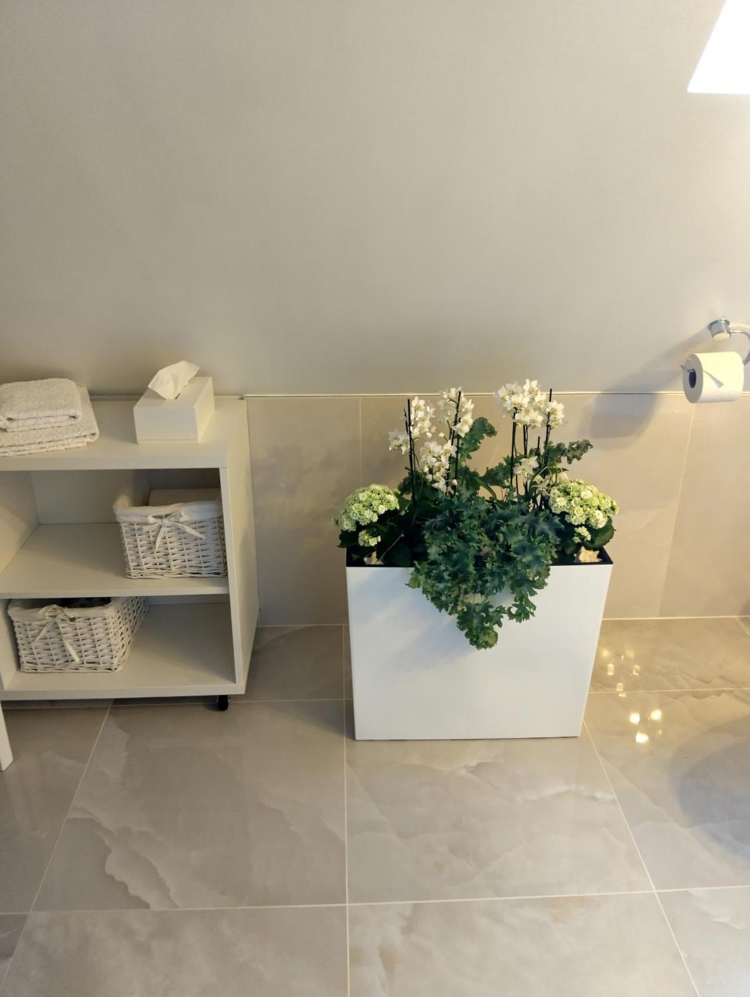 Haus "Guck - Ins - Tal" Apartment Sasbachwalden Luaran gambar