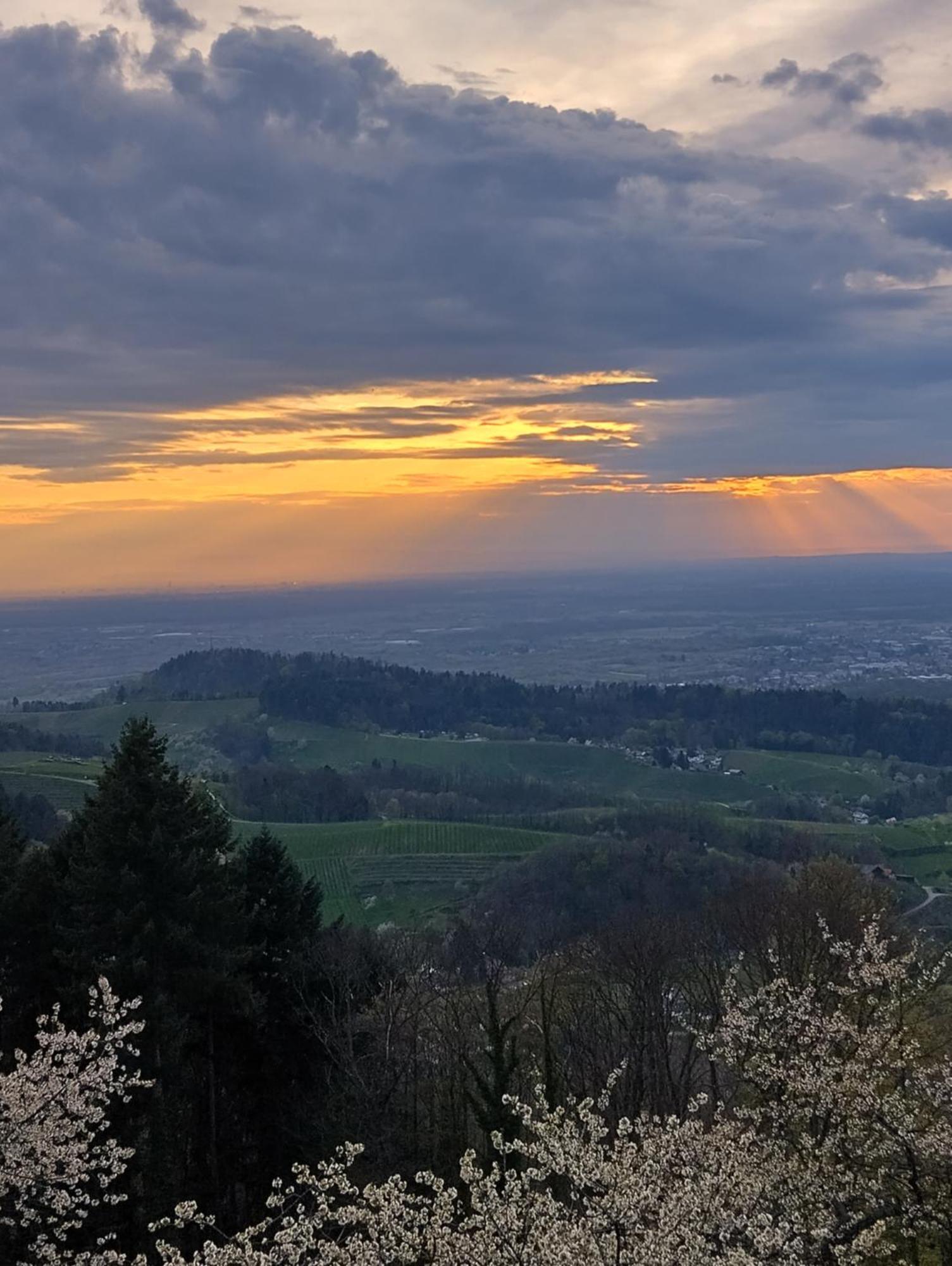 Haus "Guck - Ins - Tal" Apartment Sasbachwalden Luaran gambar